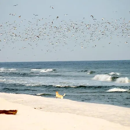 Apartment Meeresrauschen Seebrücke