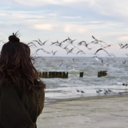 Apartment Meeresrauschen Seebrücke *